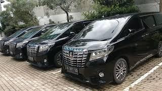 TOYOTA ALPHARD EX GOLDEN BIRD