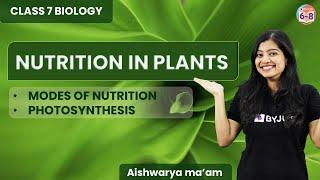 Nutrition in Plants - L1 | Photosynthesis | Class 7 CBSE | Chapter 1