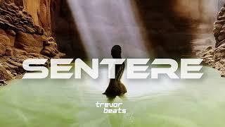 Afrobeat Instrumental 2025 Buju x Omah Lay Type Beat "Sentere" Emotional Type Afrobeat