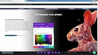 Creating the Optimized for Speed Section using Divi theme in 2020