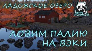 Русская рыбалка 4. Озеро Ладожское. Фарм. Спиннинг. Палия. Вэки.