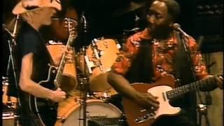 Muddy Waters feat. Johnny Winter - Chicago Fest 1981