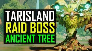 TARISLAND 10 PLAYER RAID ANCIENT TREE GRUFFT REWARDS