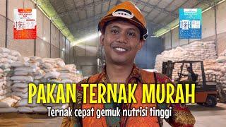 Pakan ternak murah keliling pabrik pakan terbesar 4000 ton per bulan