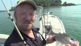 O'Neill Outside - Deep Summer Stripers - 2016