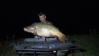 НОЧНОЙ КАРП ЧУТЬ НЕ УТАЩИЛ В ВОДУ, carp fishing  РЫБАЛКА НА КАРПА