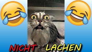 VERSUCHE NICHT ZU LACHEN !!!  #40