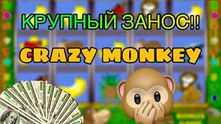 ОГРОМНЫЙ ЗАНОС!! КРЕЙЗИ МАНКИ !!! crazy monkey