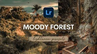 Moody Forest Lightroom Presets Free Download | Free Mobile Lightroom Presets Tutorials Free DNG
