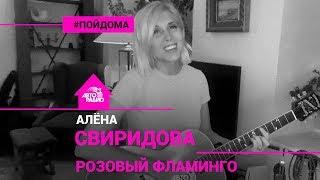 Алёна Свиридова - Розовый Фламинго (проект Авторадио "Пой Дома") acoustic version