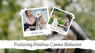 Fostering Positive Canine Behavior