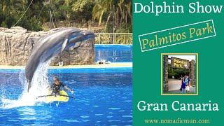 PALMITOS PARK Dolphin Show | Gran Canaria | Canary Islands | Dolphin Experience