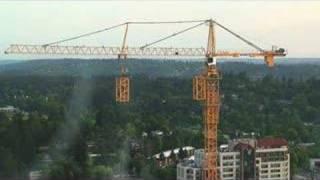 Crane Building Itself