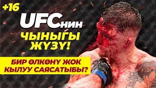 ММА, UFCнин чыныгы жүзү!