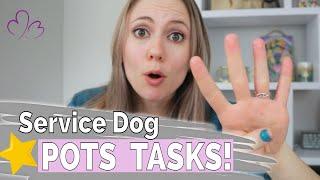 POTS SERVICE DOG // 4 Tasks my POTS Alert Dog is Trained to Perform