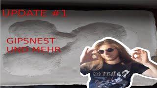 UPDATE #1 Gipsnest ,Arena und Einblicke ins Nest ~Alek Ants