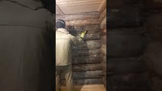 Как убрать плесень и грибок с древесины
