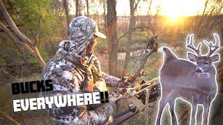 Bowhunting Michigan During the Whitetail Rut [Buck Down!!!!]