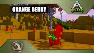 Pixark - Orange Berry