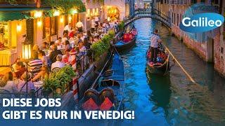 Raser-Jagd und Umzug auf dem Wasser: Diese Jobs gibt es nur in Venedig!