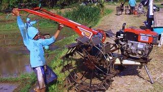 Rice Plow Complete..!! 3 Paddy Tractors Washed Immediately and Cleaned Up To Go Home.