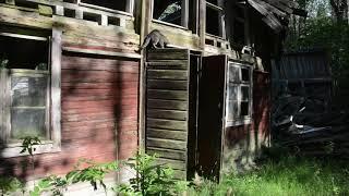 The Abandoned Barn (And Cuddly Cats)