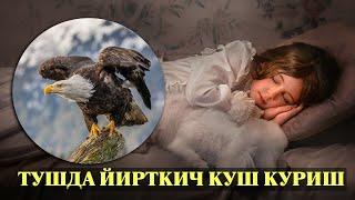 Туш табири - Тушда Йирткич куш куриш