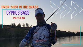 Cyprus bass fishing. Part - 9 . Drop shot in the grass