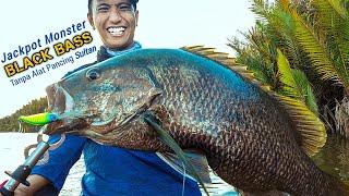 REKOR MANCING IKAN BLACK BASS TERBESAR SI MANCING di Muara Sungai Mahakam Kalimantan Timur