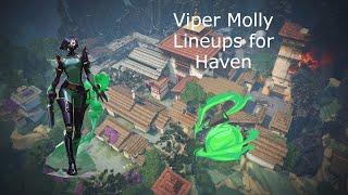 Learn Viper Molly lineups on Haven in 3 minutes