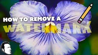 How to Remove a Watermark LIKE A JERK