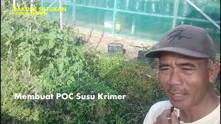 Vlog 28: CARA MEMBUAT P.O.C KRIMER SUSU