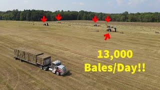 Family Farm with MASSIVE Hay Production (13,000 bales/day!!)