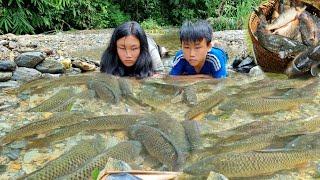 Catch fish & trap fish in the rainy season ( stream fish ) Harvest big carp to sell, Boy orphaned