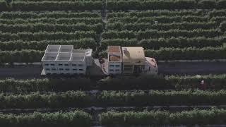 Lipman Family Farms - Tour our FL Farms