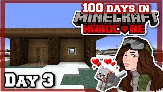 Our First Home! : Day 3 of 100 Days in Minecraft 1.19 Hardcore