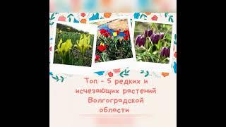 Топ-5 редких и исчезающих растений Волгоградской области!