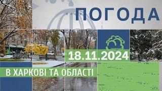 Прогноз погоди в Харкові та Харківській області на 18 листопада