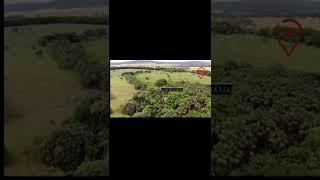 Fazenda 35 Km de Goiânia Hidrolândia