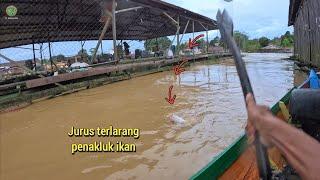 UMPAN ROTI NANAS !! MANCING IKAN MAKIN GANAS