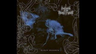 WOLVES IN THE THRONE ROOM - Black Cascade (Official Audio)