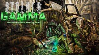 S.T.A.L.K.E.R. Anomaly GAMMA #1 ИЗУЧАЮ МЕХАНИКИ (Стрим 16.07.2023)