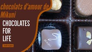#chocolats d'amour de Mikuni #Mikuni #chocolates #japandiaries Japan Tamil Vlog