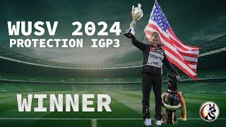 Winner of WUSV 2024 - Joker von der Beizjagd - Protection 96p