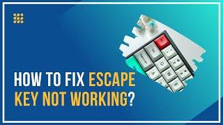 Escape Key Not Working – How To Fix?