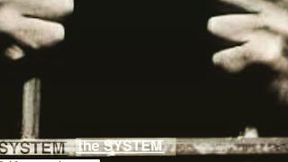 The SYSTEM  by Chad Wilson