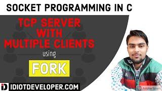 Multiple Client Server Program in C using fork | Socket Programming