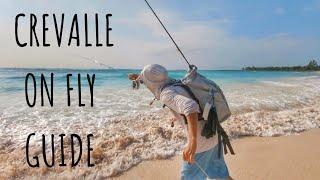 How to catch BEACH JACK CREVALLE on fly step by step.