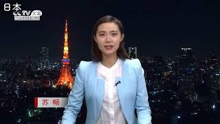 各国中文频道 老外讲中文 充满喜感