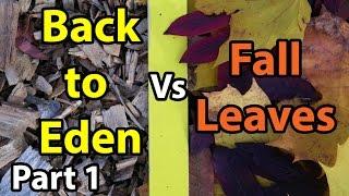 Back to Eden Organic Gardening 101 Method with Wood Chips VS Leaves Composting Garden Soil  #1